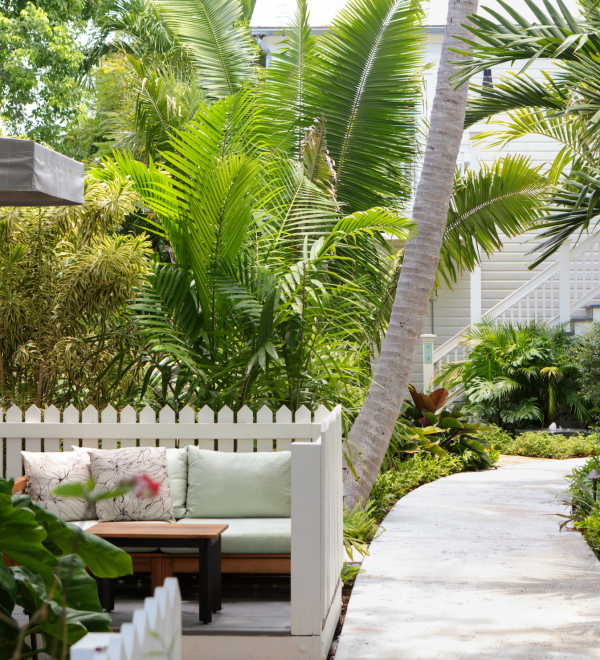 Patio surrounded by trees