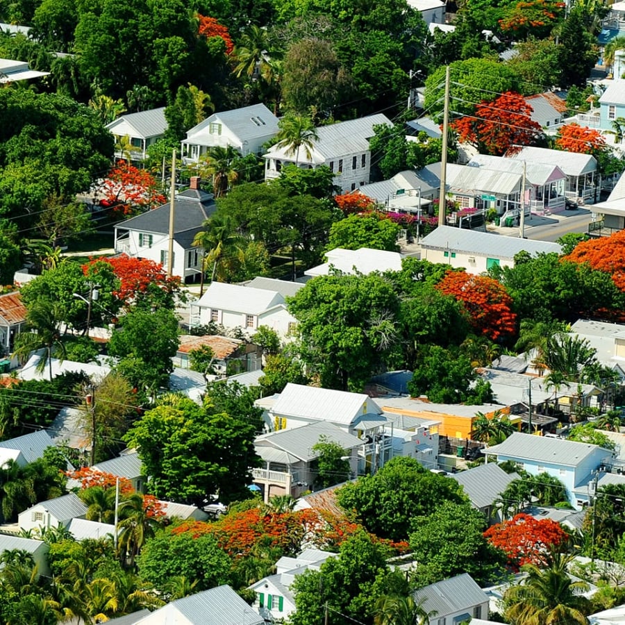 Aerial view of Key west homes amongst red and green trees. In the distance is a large white lighthouse