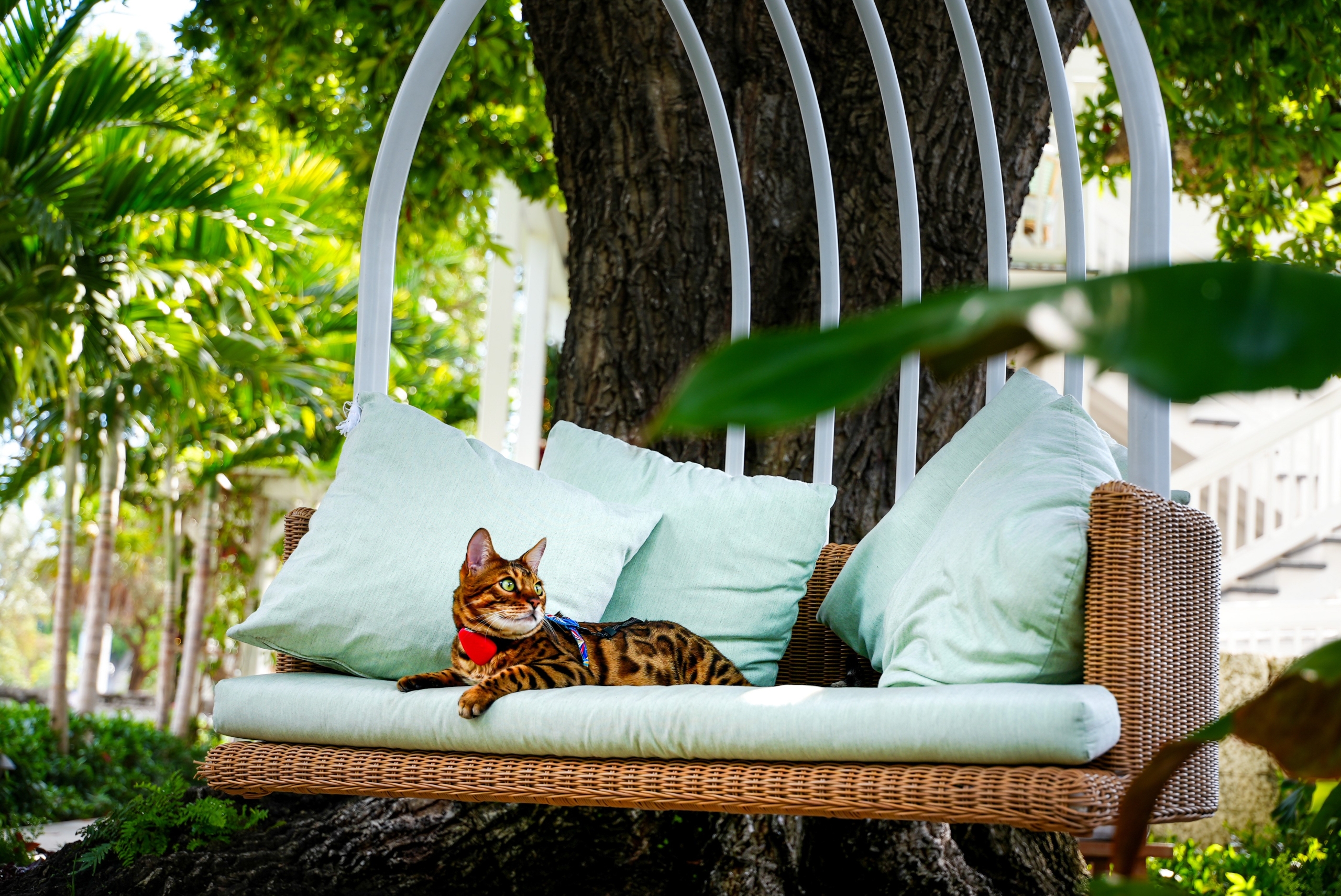 AAA Discount Key West Historic Inns Collection