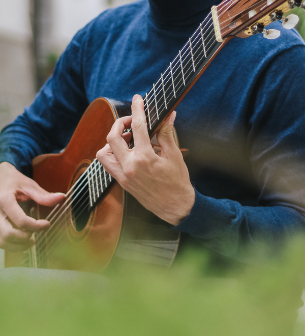 Guitar in trees